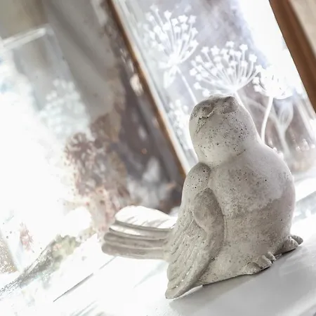 Bed and breakfast Le Clos De La Braquenniere